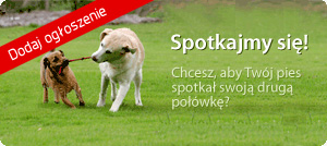 Spotkajmy się!